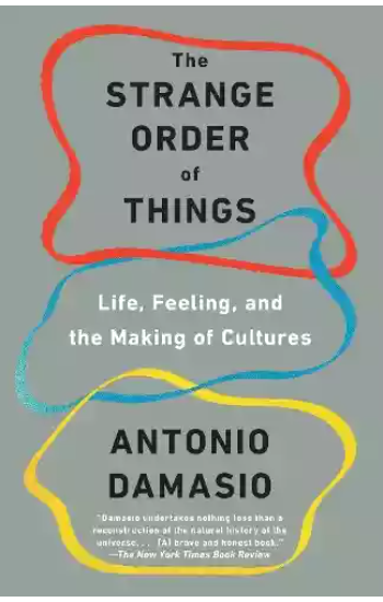 The Strange Order Of Things